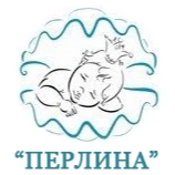 Приватний дитячий садок у м.Полтава - Перлина