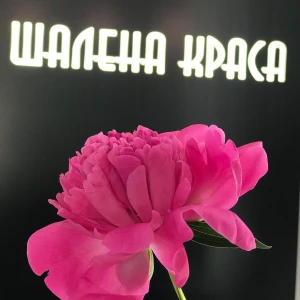 Салон краси у м.Полтава - Шалена Краса